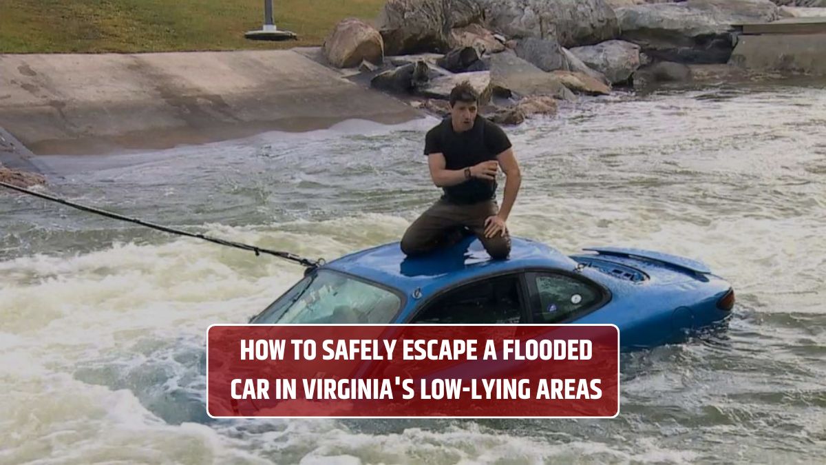 Flooded Car